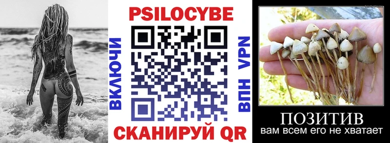 Купить  Урус-Мартан  Галлюциногенные грибы Psilocybine cubensis 